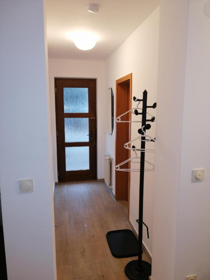 Ebenerdige Ferienwohnung mit großer Terrasse in der Nähe des Waldes, zum wohlfühlen Schoneck Exterior foto